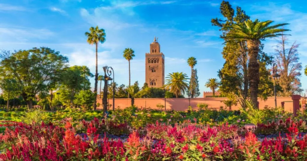 Tour nel deserto di 2 giorni da Marrakech a Zagora